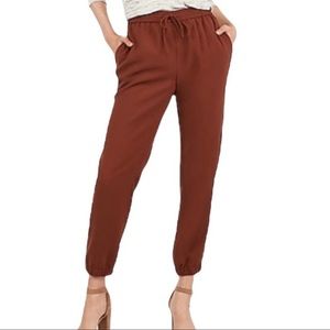 EXPRESS Jogger Dress Pant